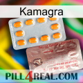 Kamagra new13